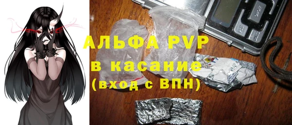 индика Абинск